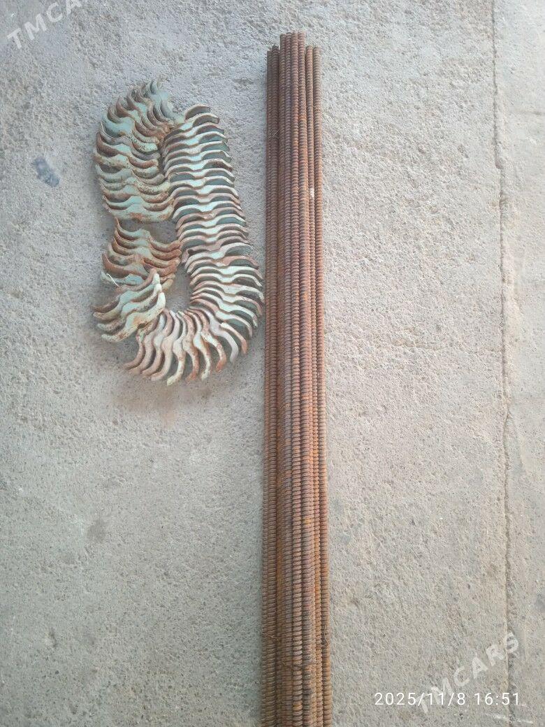 Taýrot - Ak bugdaý etraby - img 3