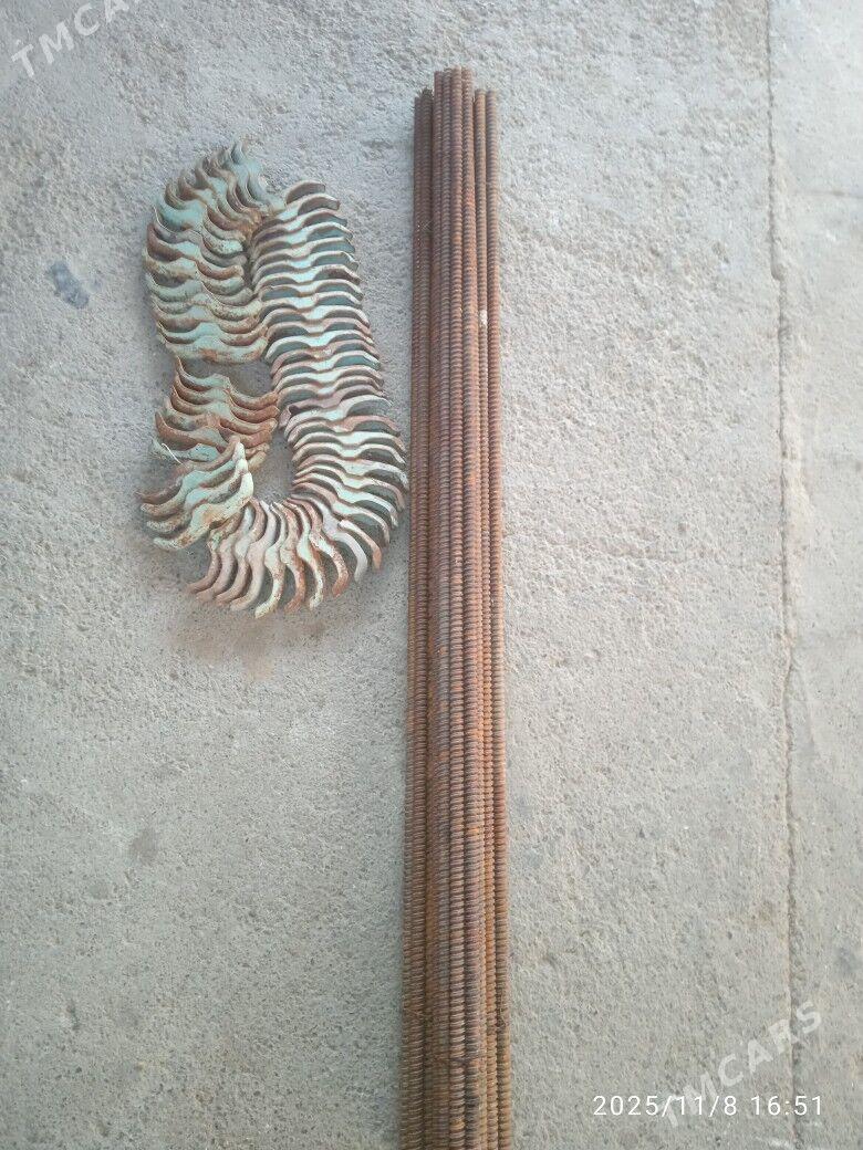 Taýrot - Ak bugdaý etraby - img 2