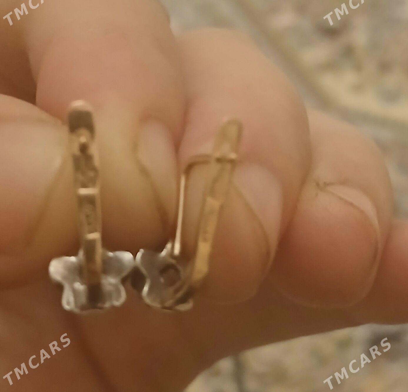 Gyzyl gulakhalka - Aşgabat - img 3