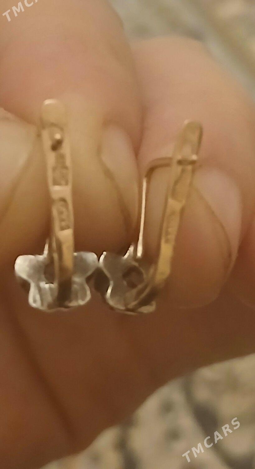 Gyzyl gulakhalka - Aşgabat - img 4