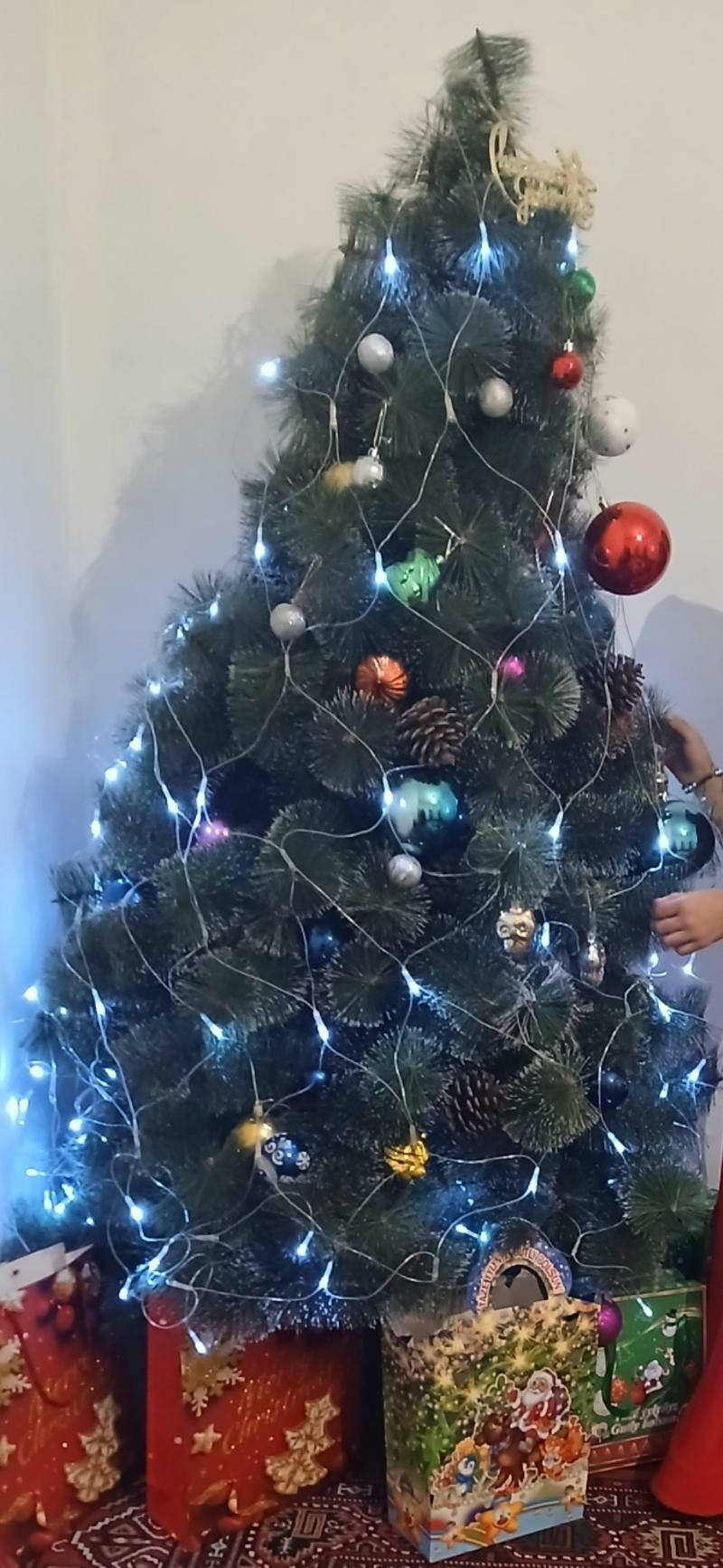 yolka. ëlka - Aşgabat - img 3