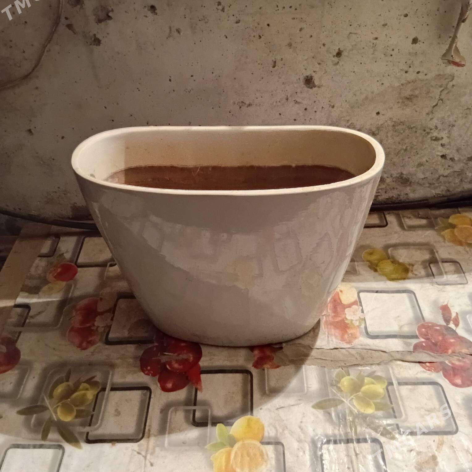 unitaz bojkasy - Daşoguz - img 3