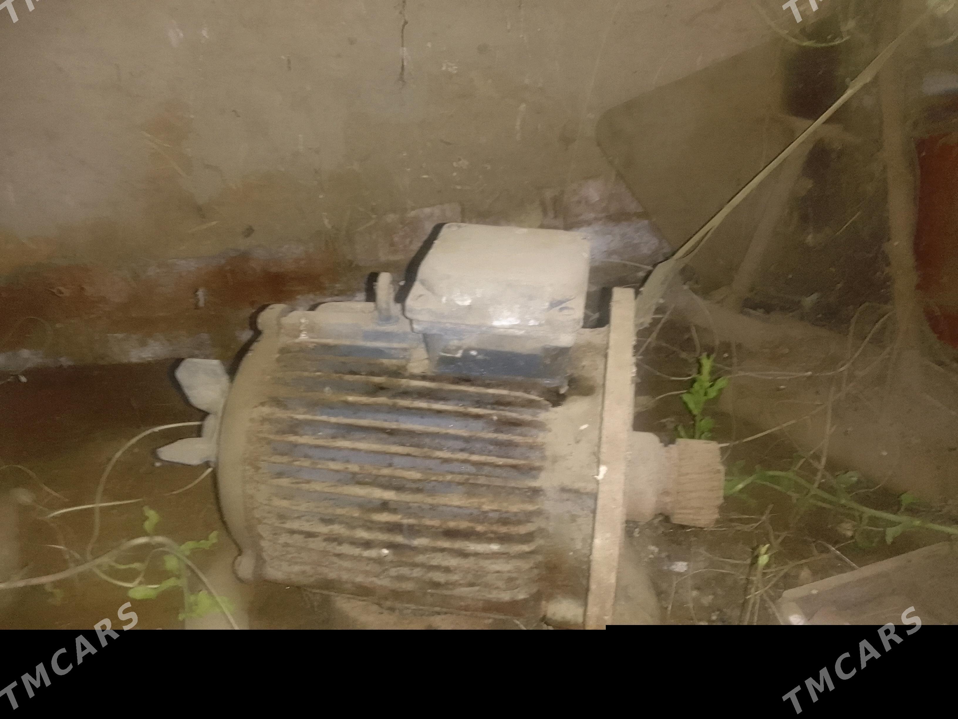 tok generator - Теджен - img 4