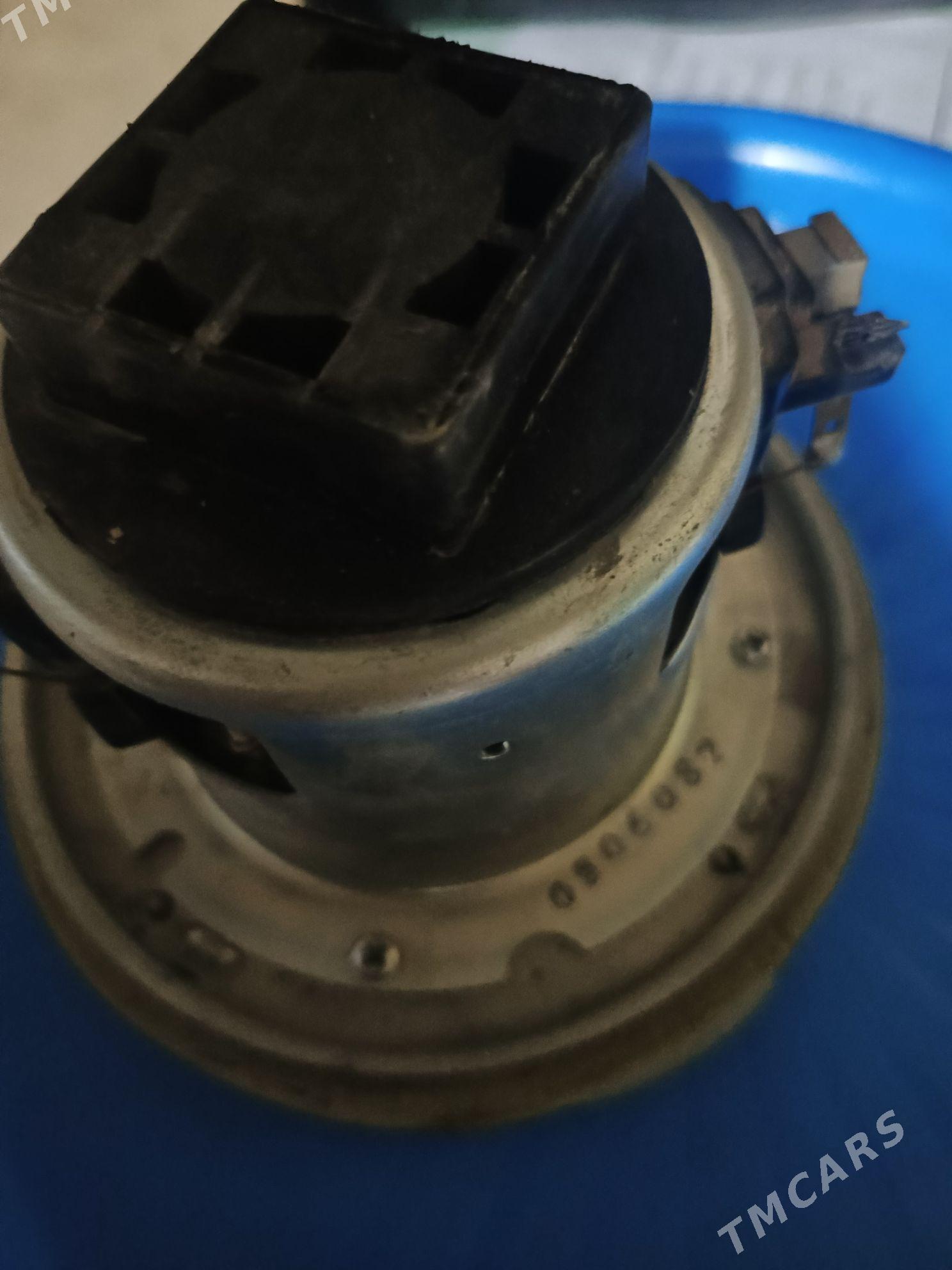 Palisosiň matory - Türkmenabat - img 3