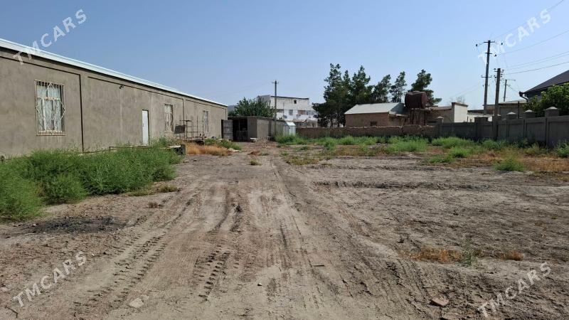 Satlyk mellek yer - Мары - img 10