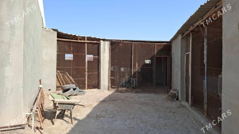 Satlyk mellek yer - Мары - img 6