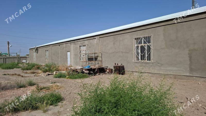 Satlyk mellek yer - Мары - img 7