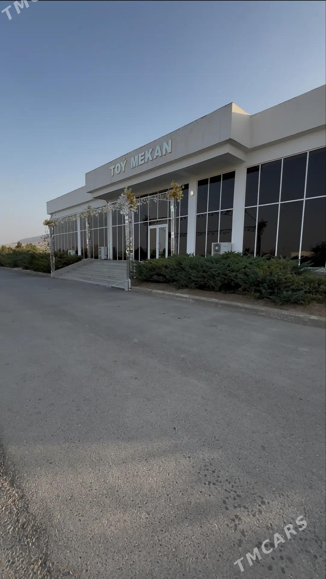 Toy mekany - Анев - img 1