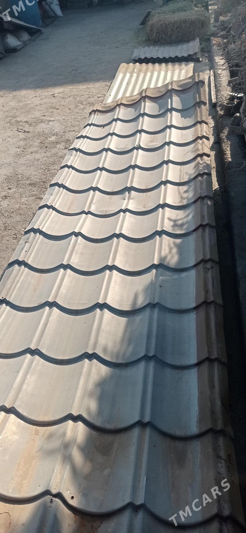 sipir cerepitsa - Büzmeýin - img 2