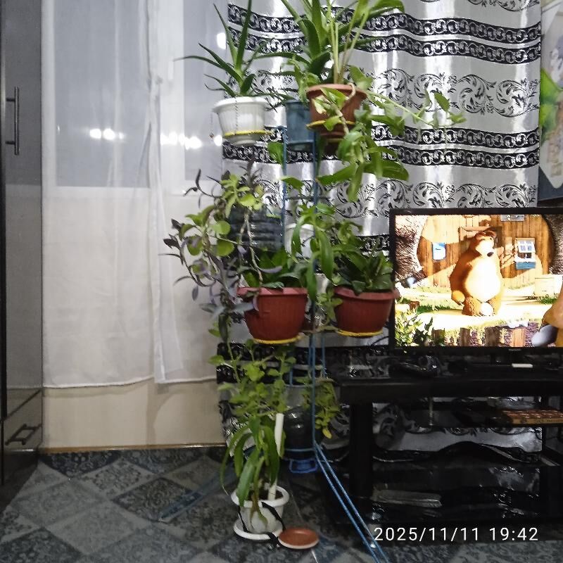 отаг гулери - Мары - img 2