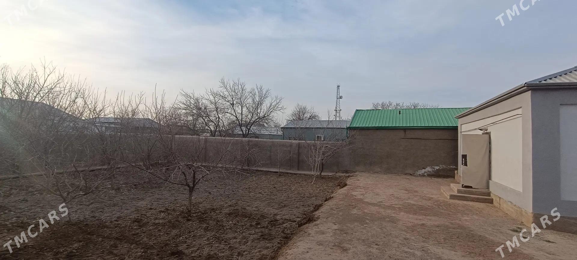 Satlyk Jaý - Мары - img 2