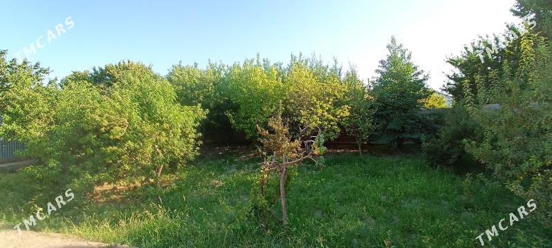 Satlyk Jaý - Мары - img 6