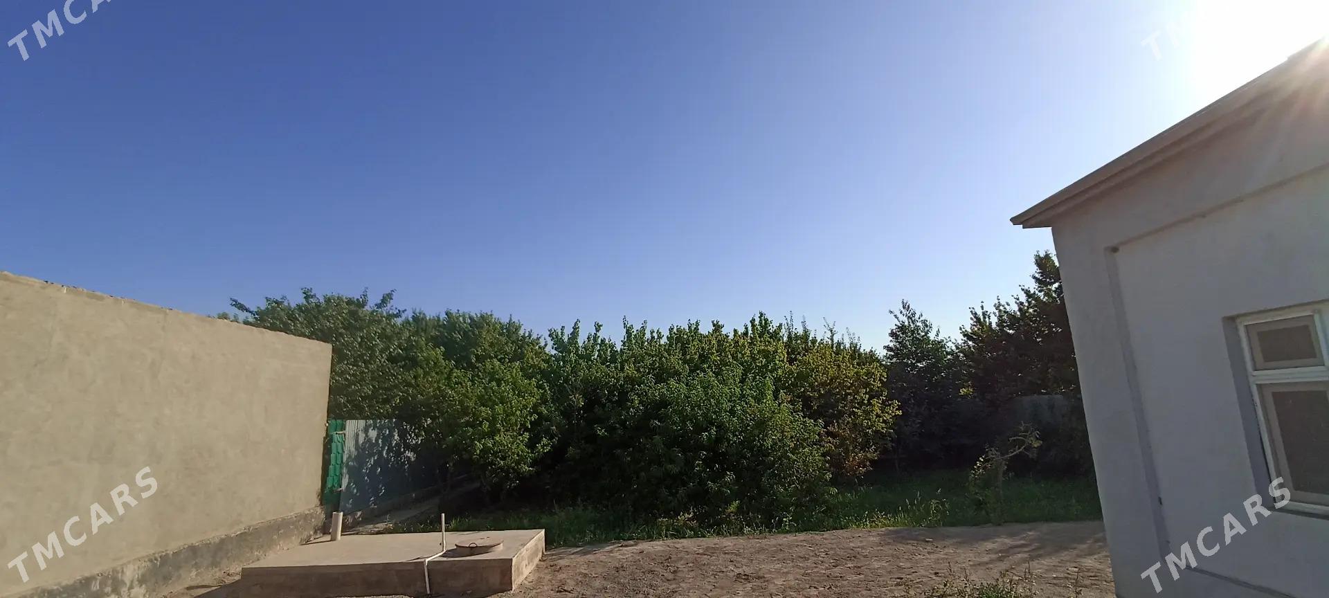 Satlyk Jaý - Мары - img 7