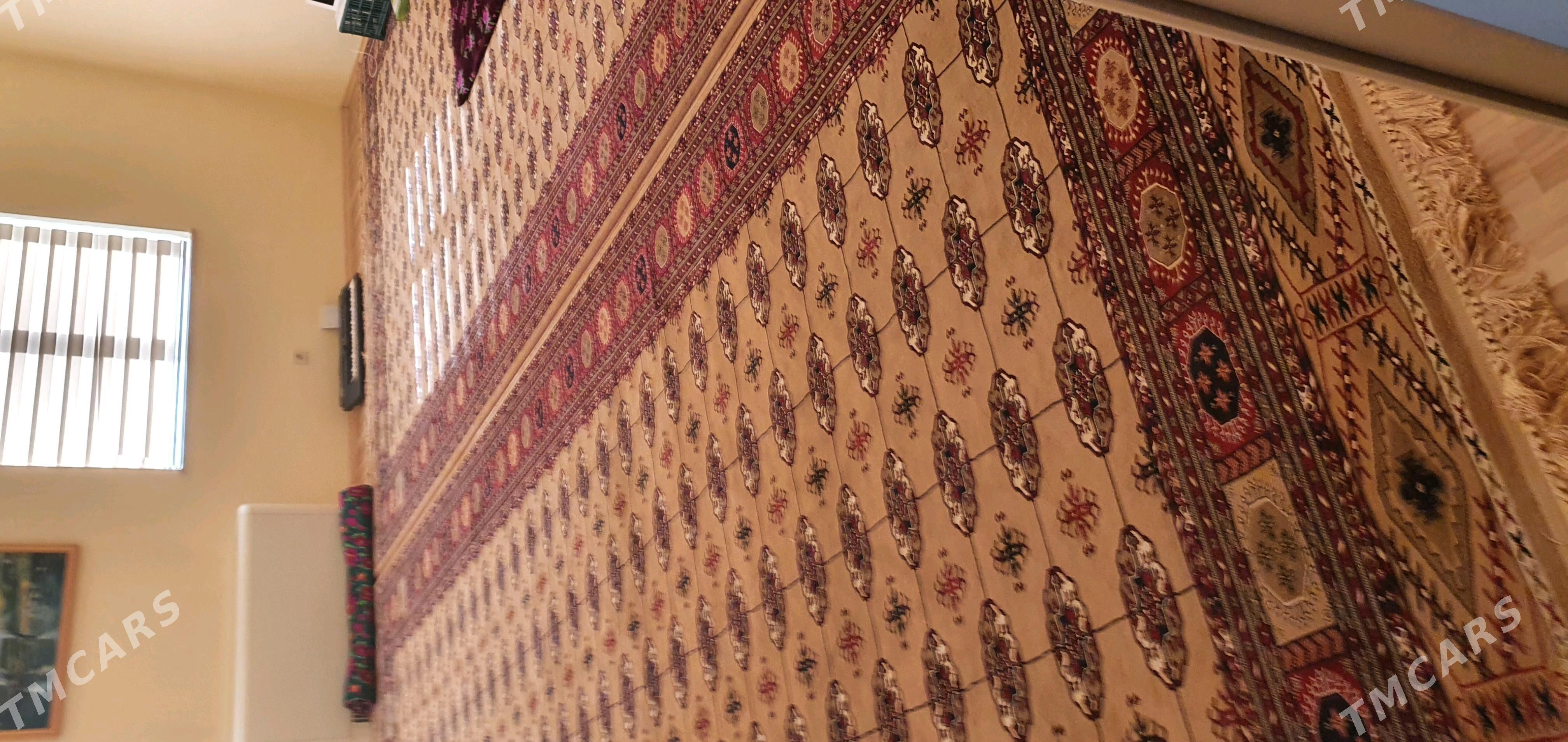 Haly altyn çitim  Türkie - 14 этап - Элитки (Улица Совхозная) - img 2