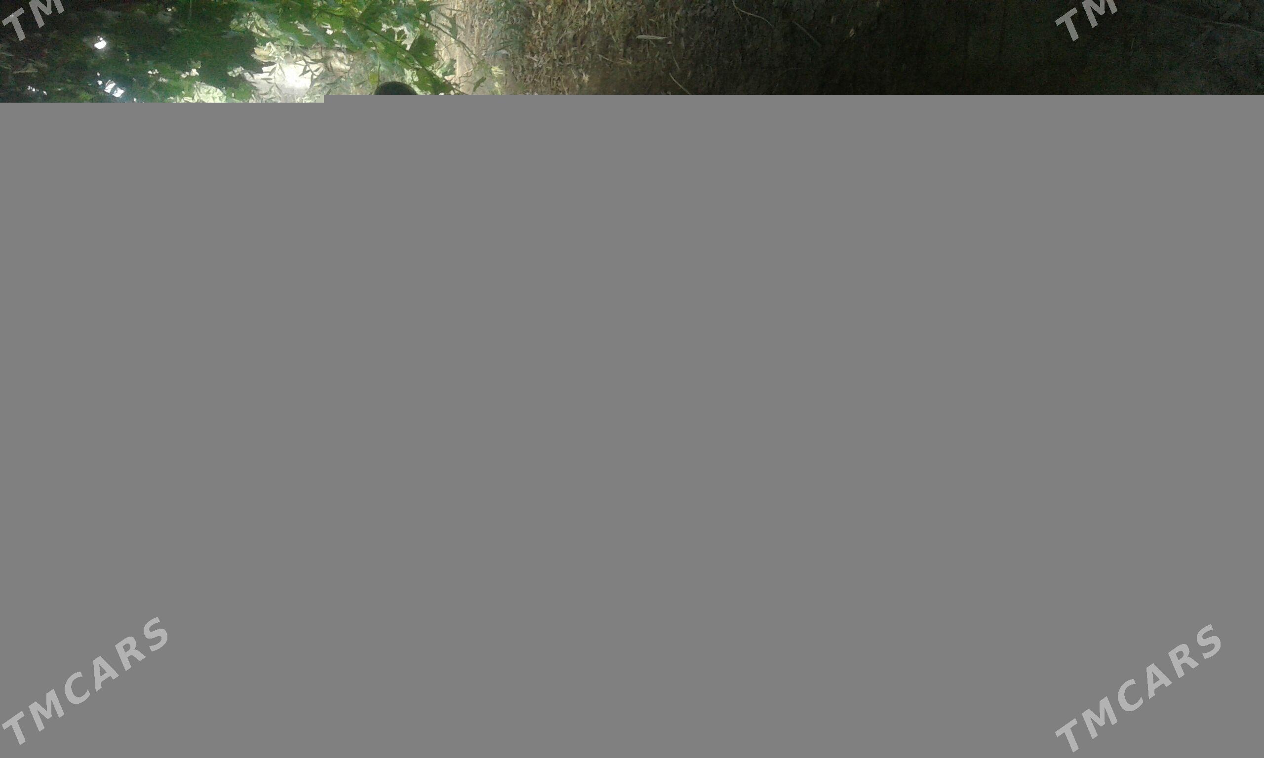 Mazda 323 1994 - 12 000 TMT - Дашогуз - img 2