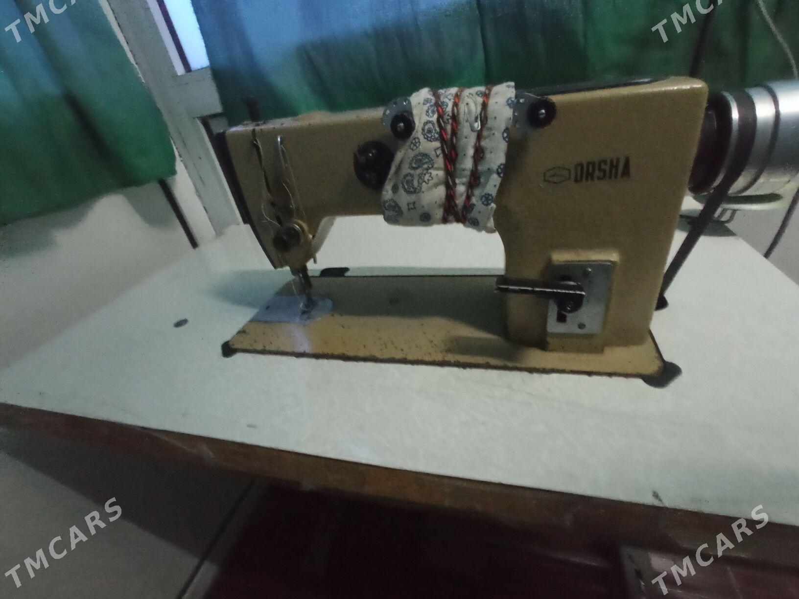 Tikin masyn - Mary - img 5