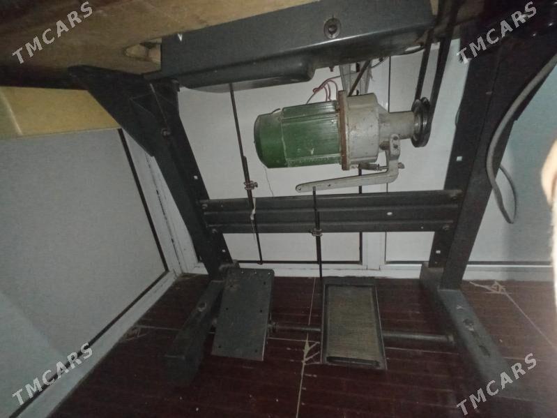 Tikin masyn - Mary - img 3