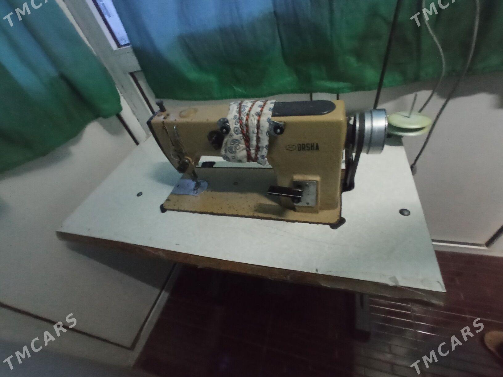 Tikin masyn - Mary - img 2