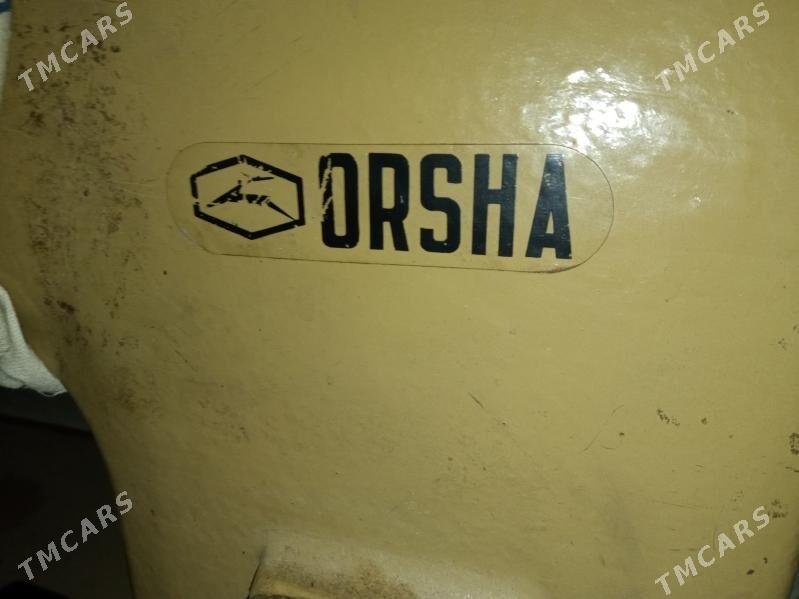 Tikin masyn - Mary - img 7