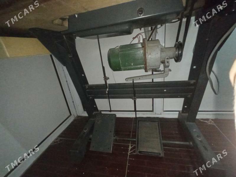 Tikin masyn - Mary - img 4