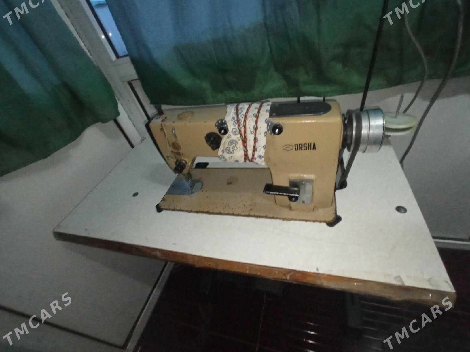 Tikin masyn - Mary - img 6