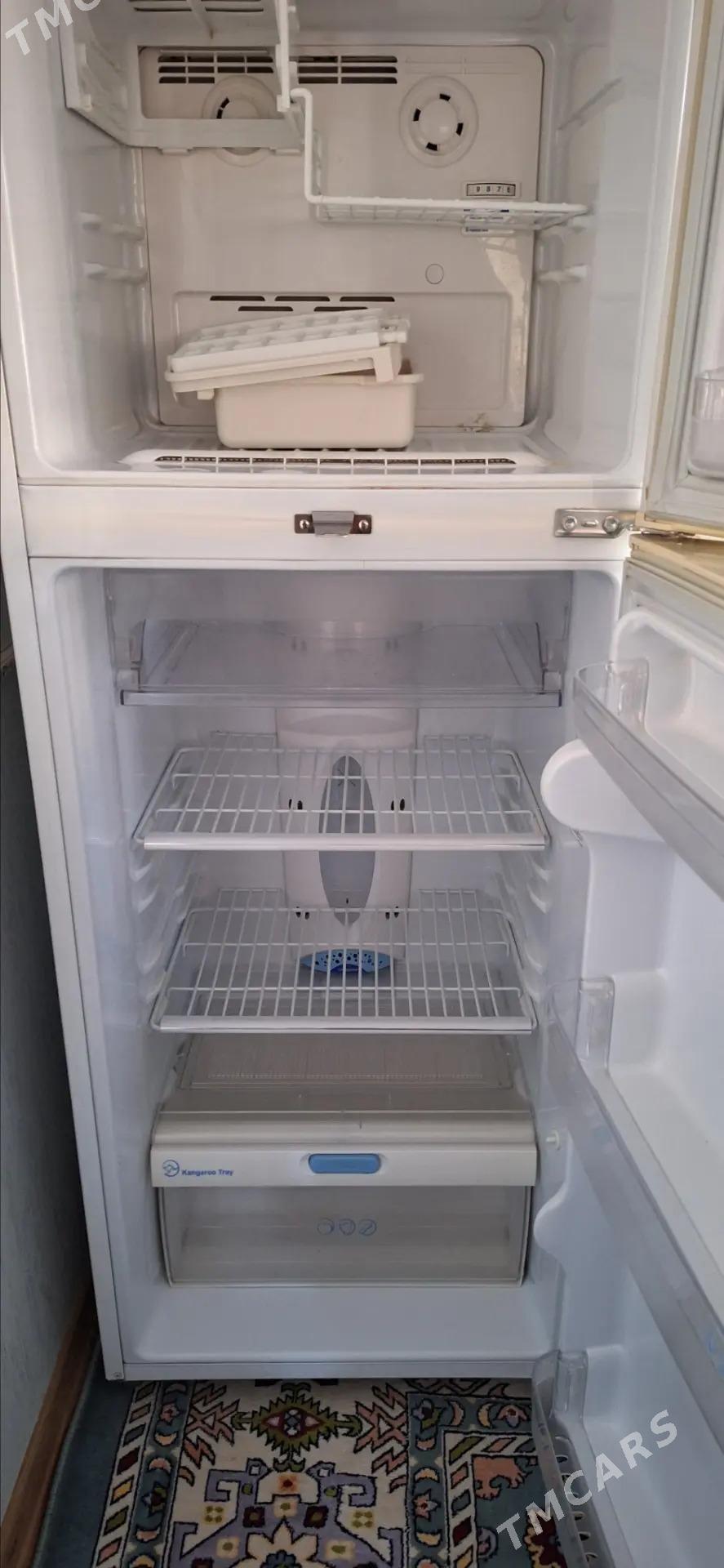 Haladilnik - Änew - img 2