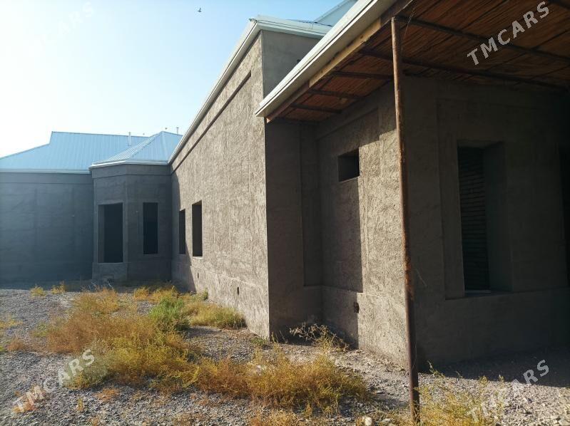 Satlyk howly jaý - Mary - img 3