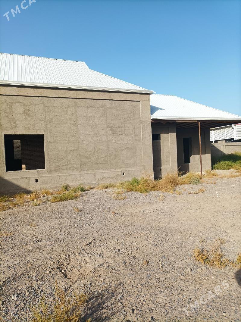 Satlyk howly jaý - Mary - img 1