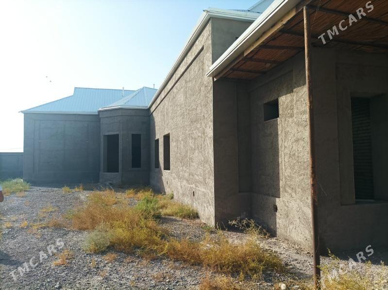 Satlyk howly jaý - Mary - img 2