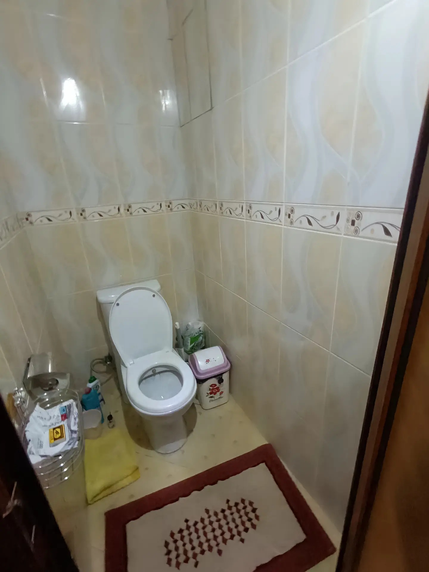 Buzmeyin Gres - Büzmeýin GRES - img 4