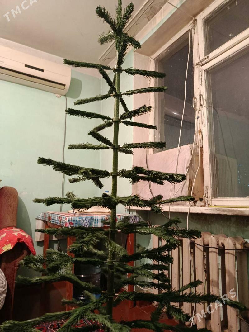 yolka - Aşgabat - img 1