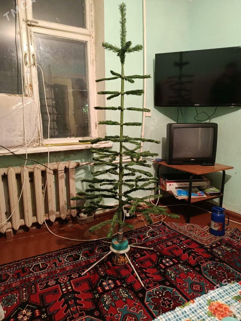 yolka - Aşgabat - img 3