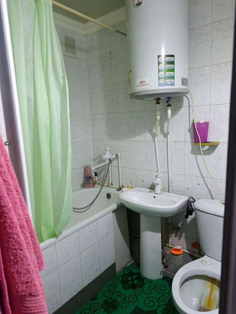 Buzmeyin Gres - Büzmeýin GRES - img 2