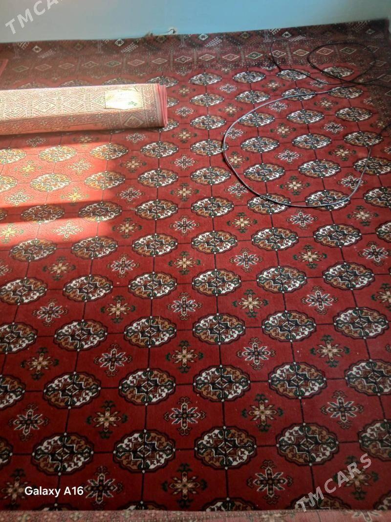 abadan haly - Хитровка - img 1