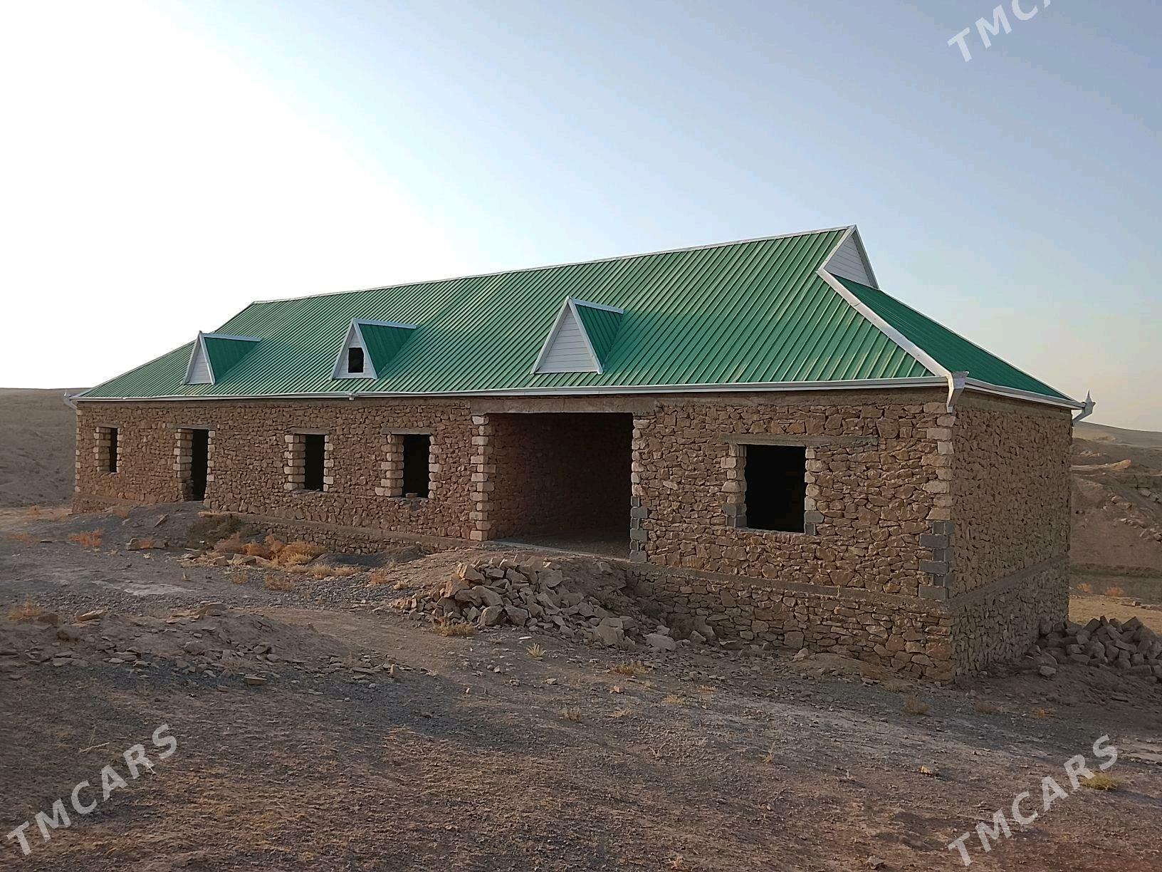 SATLYK  JAÝ - Magdanly - img 6