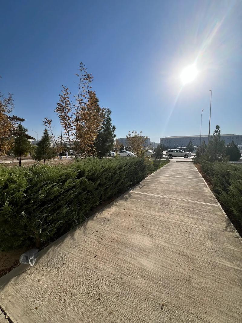 ️GURTLY/POMESENIYA YER - Gurtly - img 2