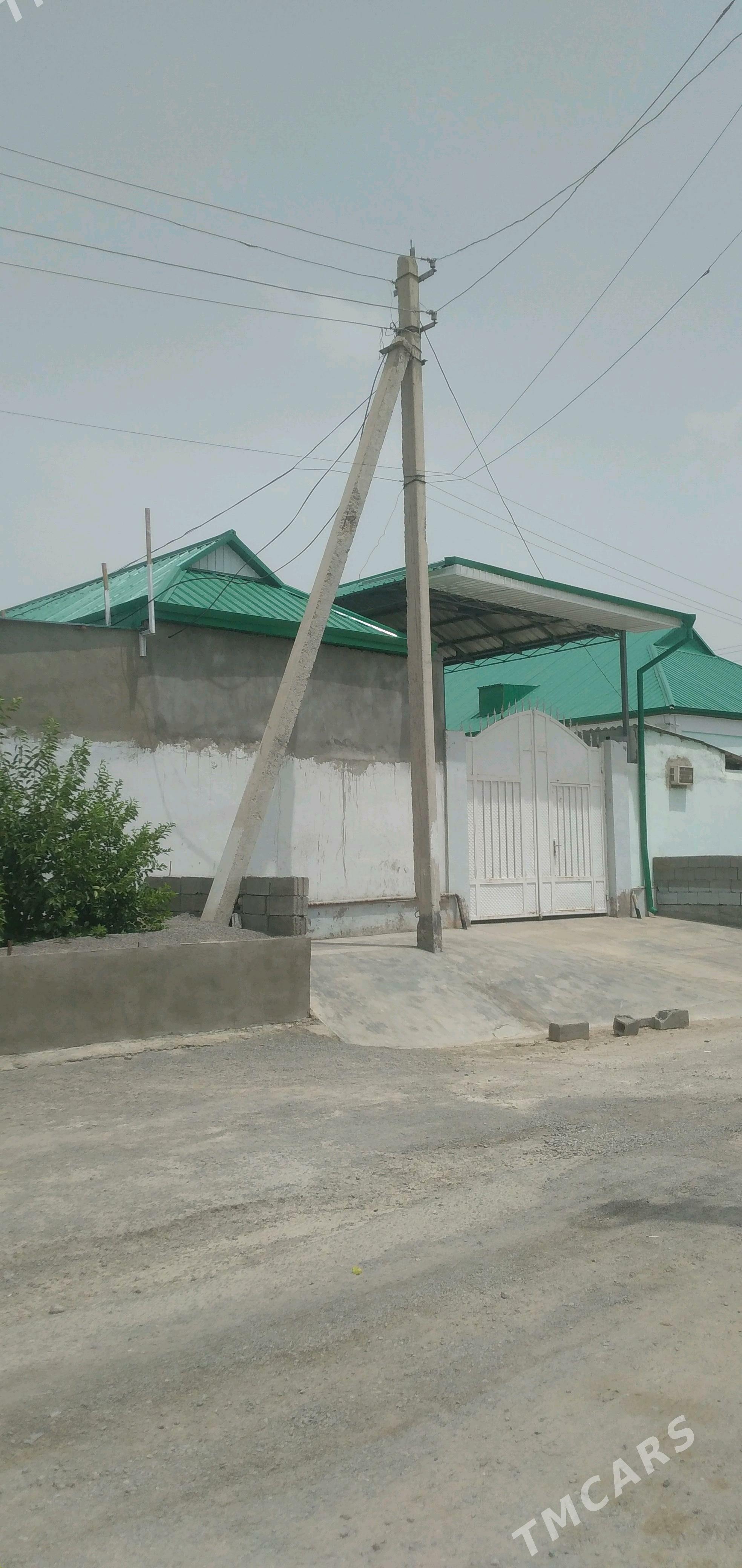 çogonly kw - Çoganly - img 2