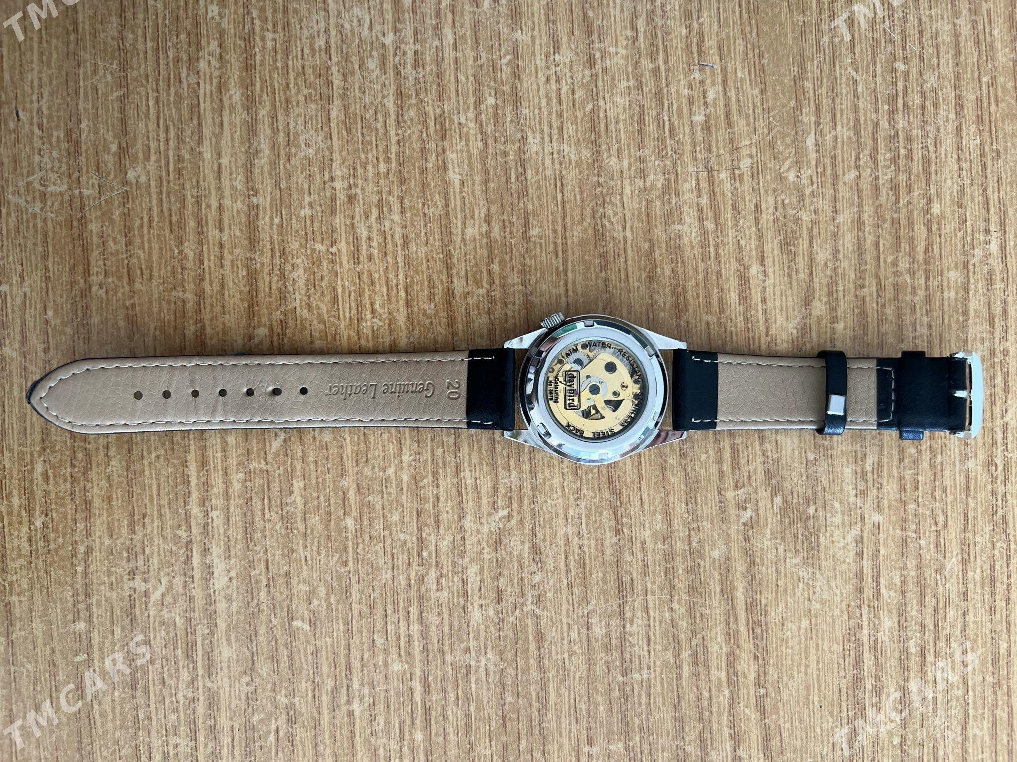 sagat mehanika - Mary - img 2