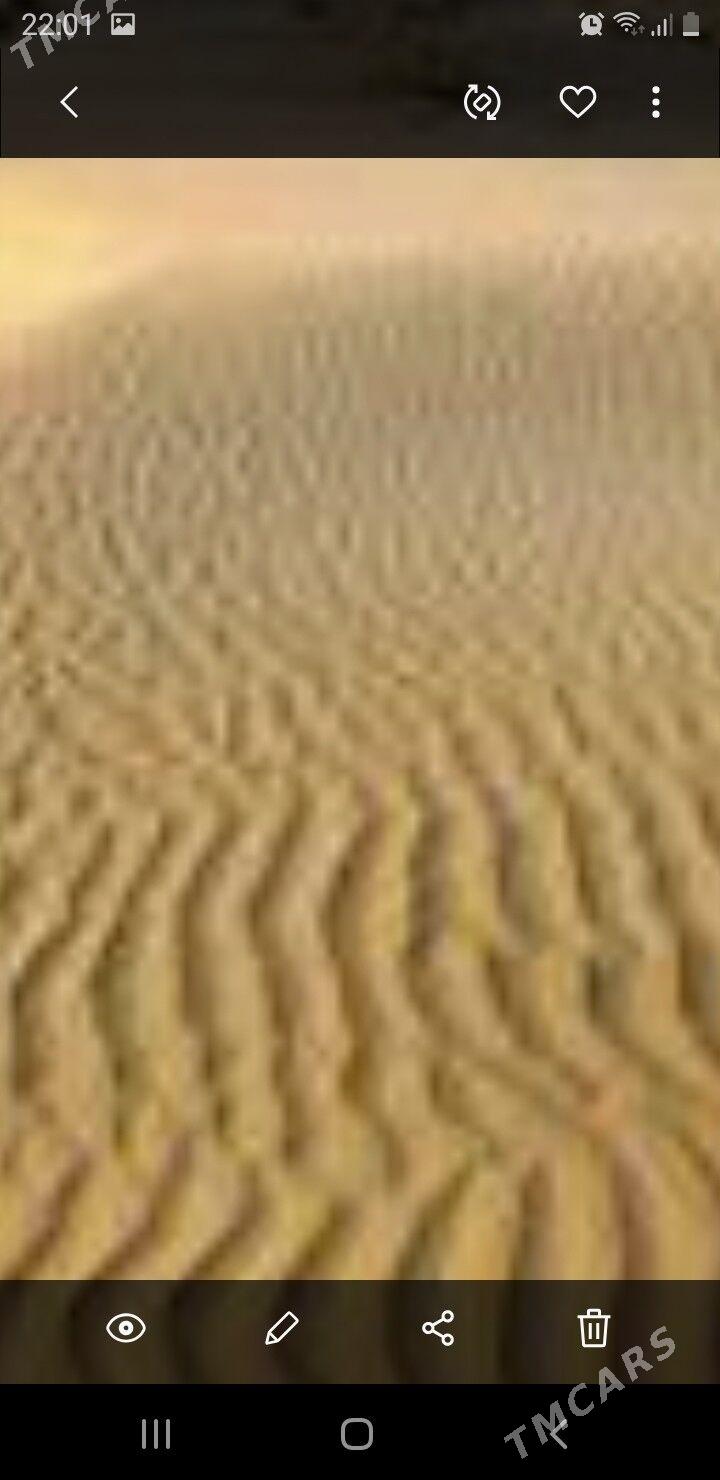 mellek - Saýat - img 2