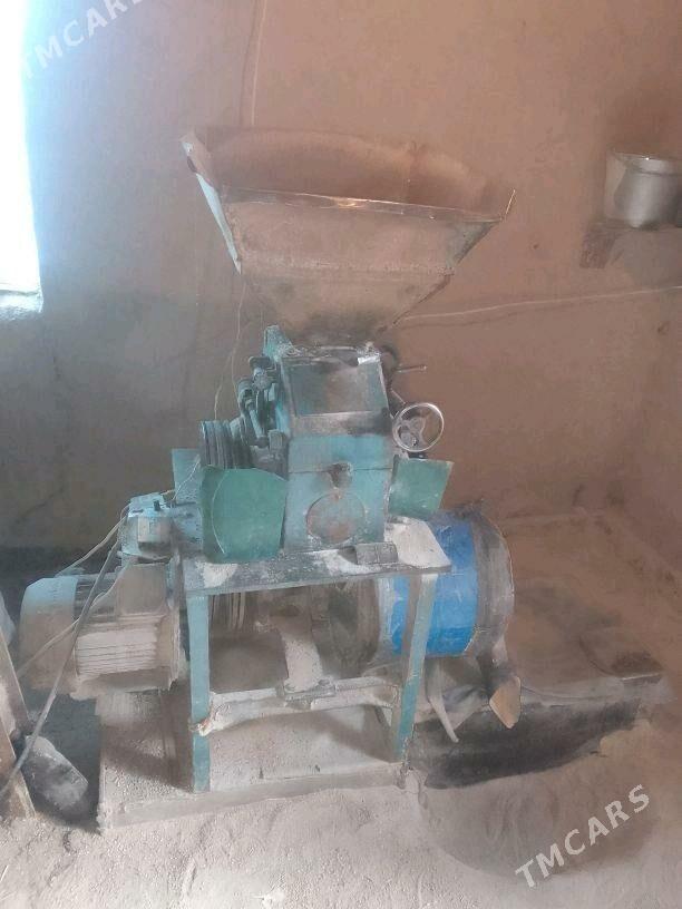 haraz,juwaz - Köneürgenç - img 2