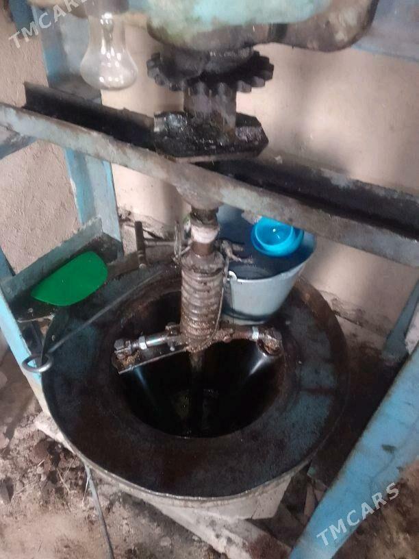 haraz,juwaz - Köneürgenç - img 4