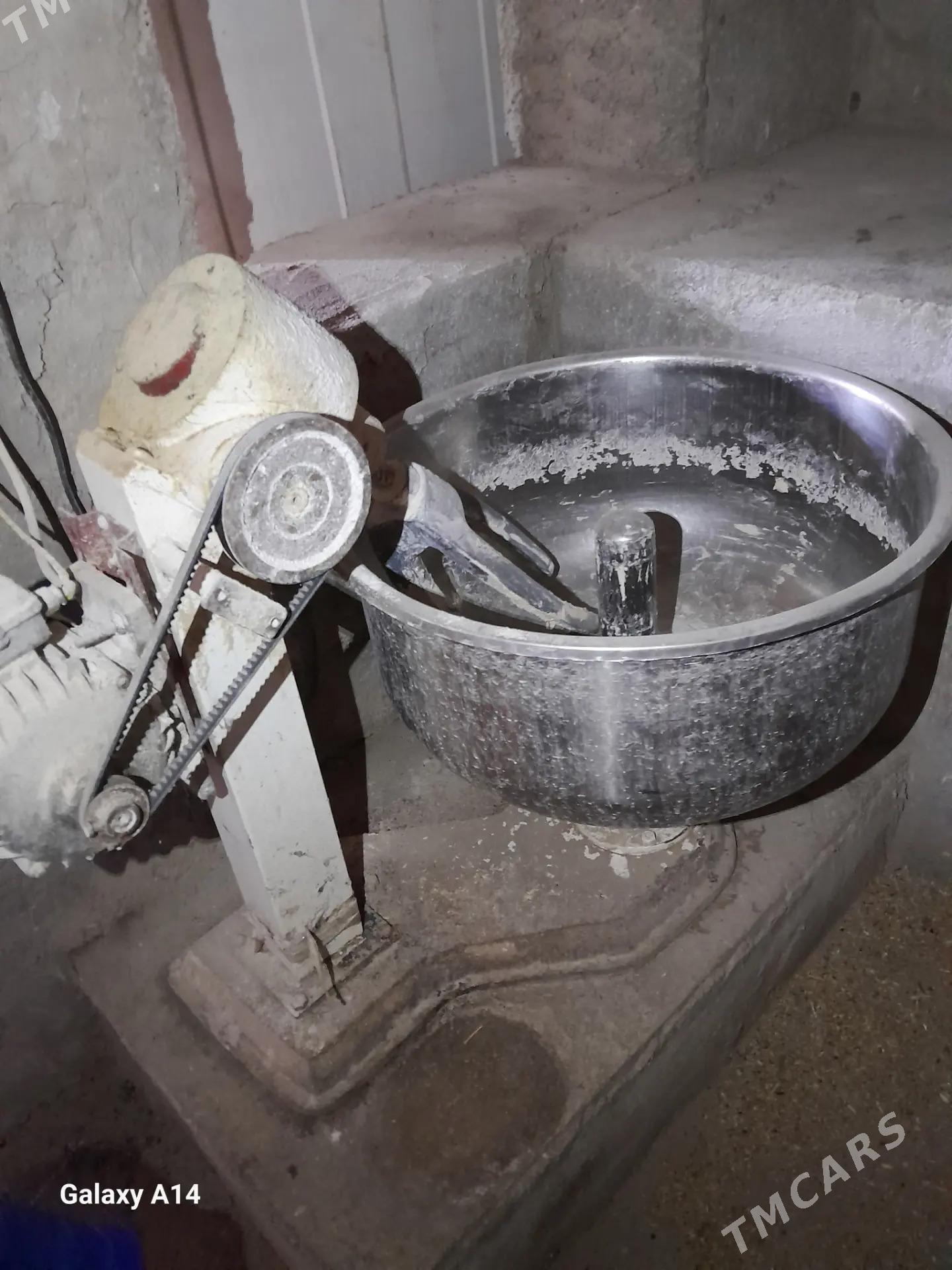 Misalka - Garagum etraby - img 7