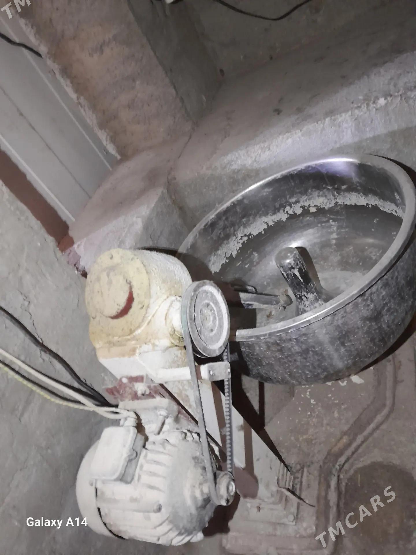 Misalka - Garagum etraby - img 6