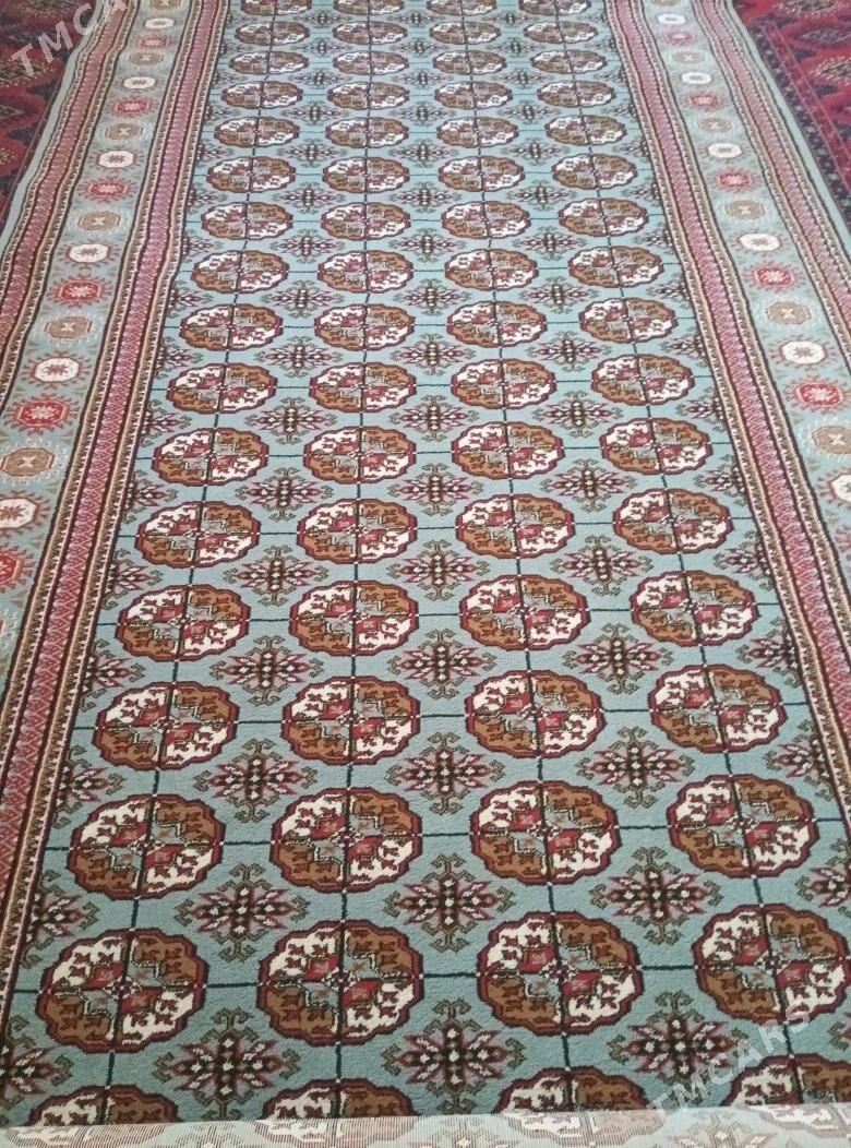 haly - Türkmenbaşy - img 3