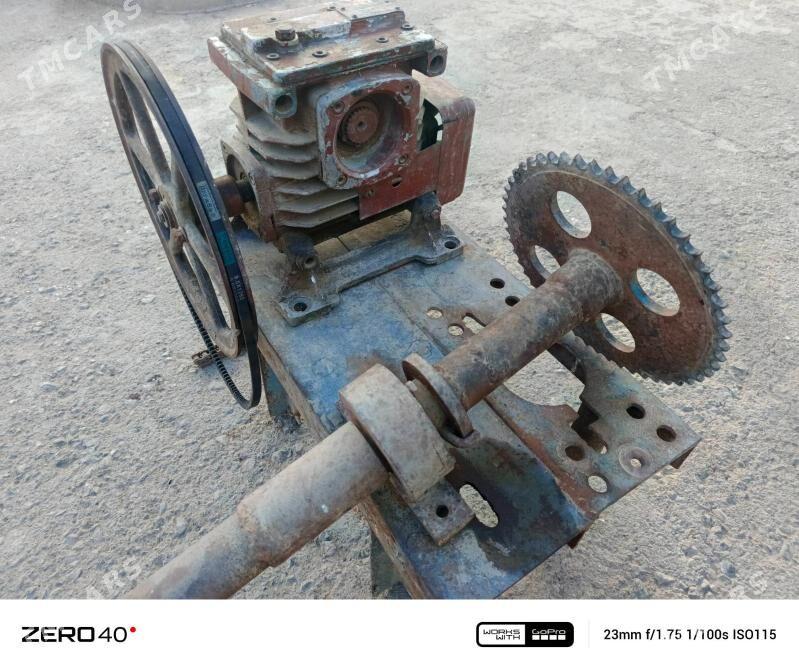 raduktyr - Büzmeýin - img 2