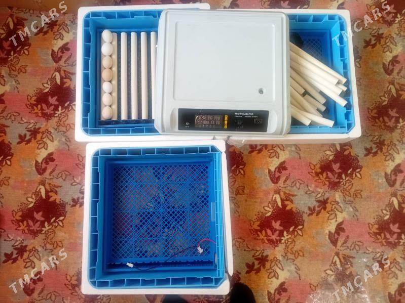 ÌNKUBATOR - Гаудан "В" - img 2