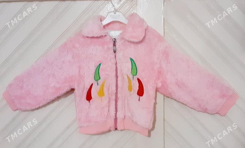 Şubalar - Daşoguz - img 6