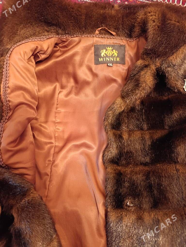 Шуба / Şuba - Balkanabat - img 4