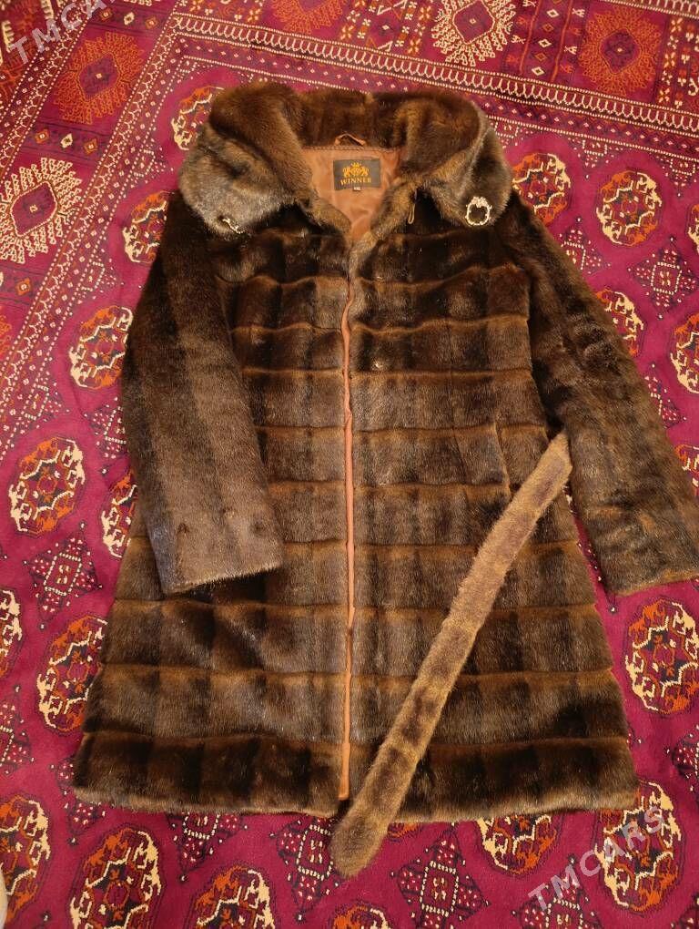 Шуба / Şuba - Balkanabat - img 3