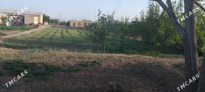 Mellek 25 sotuk - Саят - img 2